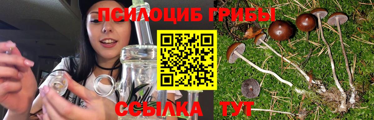 Галлюциногенные грибы Psilocybine cubensis  Вход с VPN  Комсомольск-на-Амуре 